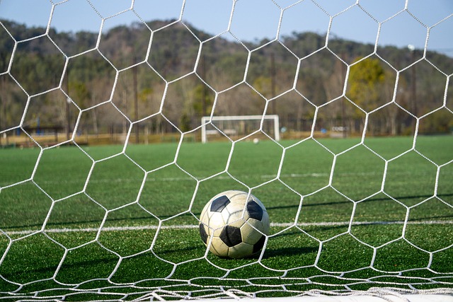 为快船打下 为快船打下