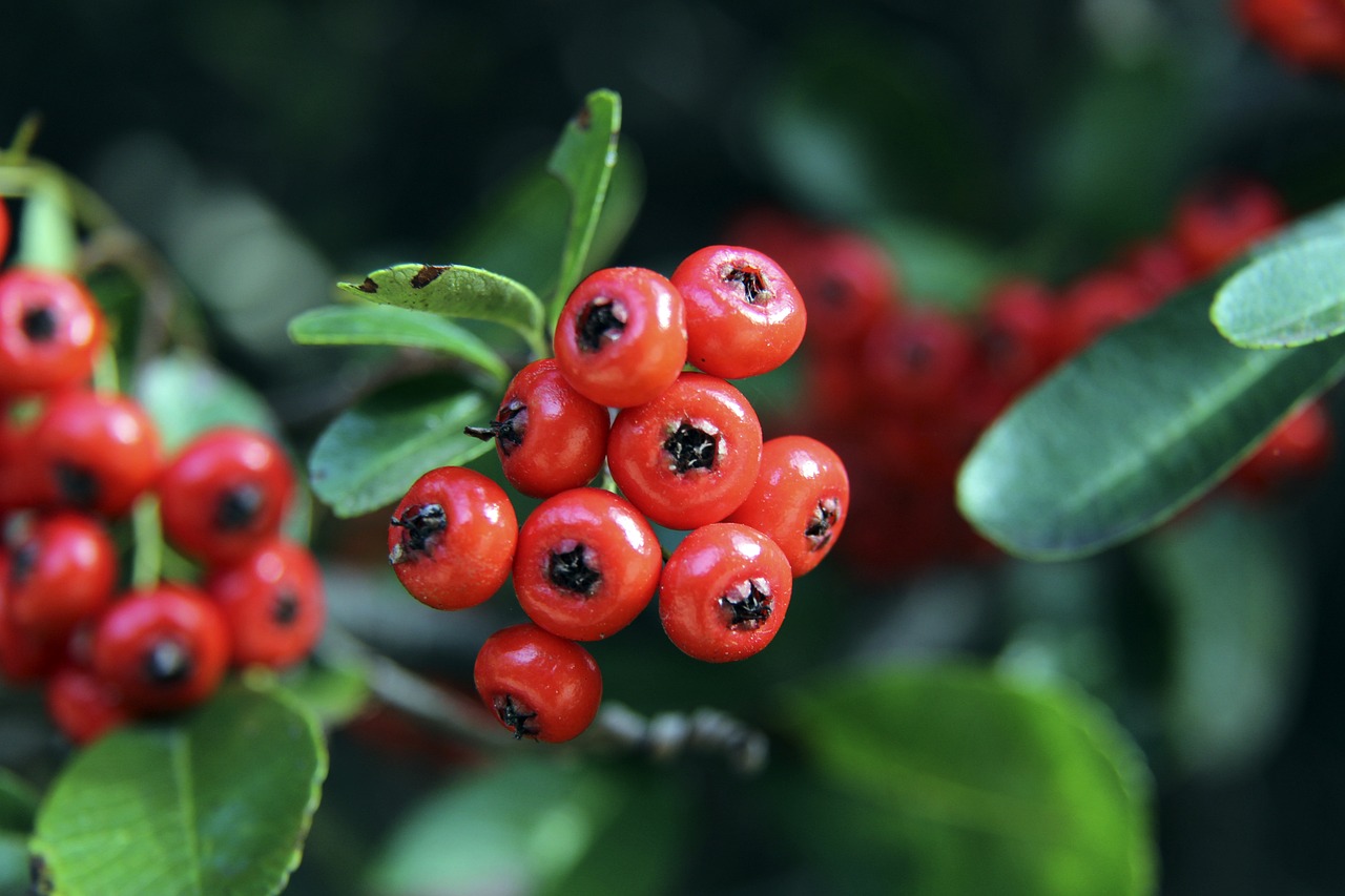 无法承担球 无法承担球