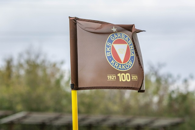 不仅仅靠亚 不仅仅靠亚