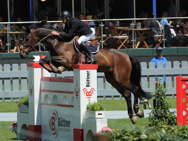 了不凡实力 了不凡实力