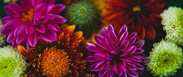 这场胜利无 这场胜利无